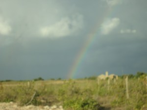 Lost off the Beaten Track Rainbow