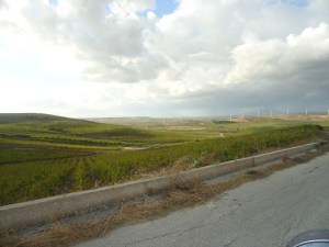 Off the beaten Path Vineyards