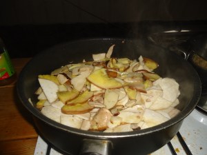 fabulous mt. Etna mushrooms