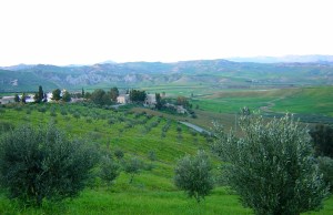 collina ulivi lidia libertinia seen fm