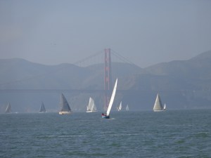 sailboat racing in SF Bay