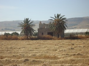 between licata and gela