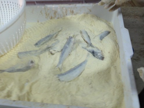 2 sardines and anchovies coated by semola flour