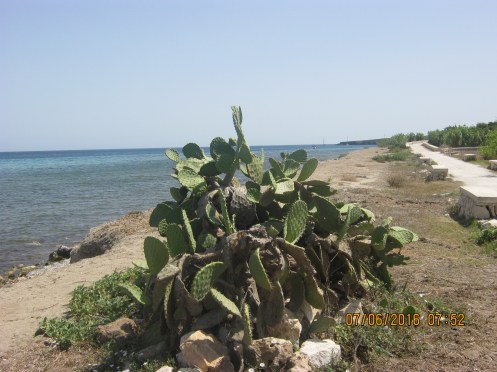 portopalo path along coast to marina