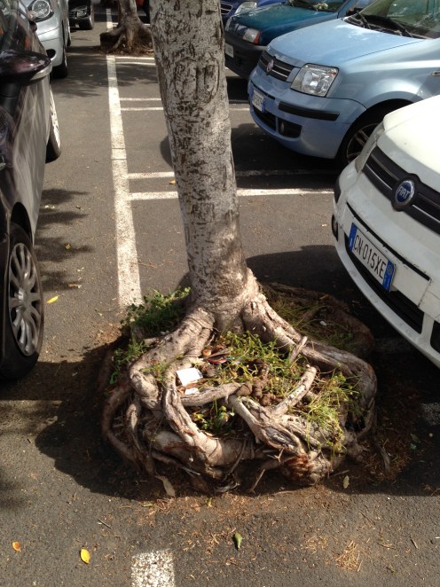 nature-suffocated-by-asphalt-3